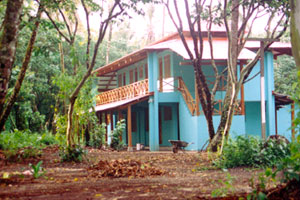 Tortuguero