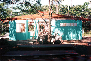 Tortuguero