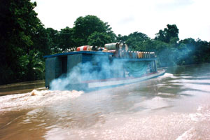 Tortuguero