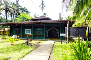Tortuguero