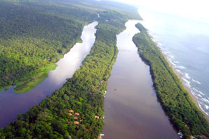 Tortuguero