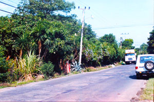 INBioparque