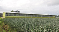 Liceo Salvador Durán